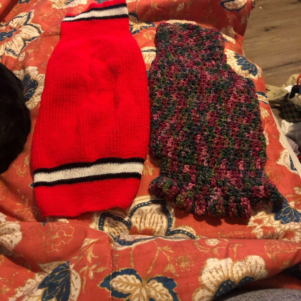 Red and Multicolor Dog Sweater Set